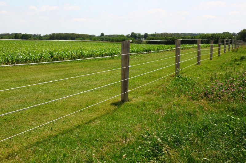 Wire Fencing Service